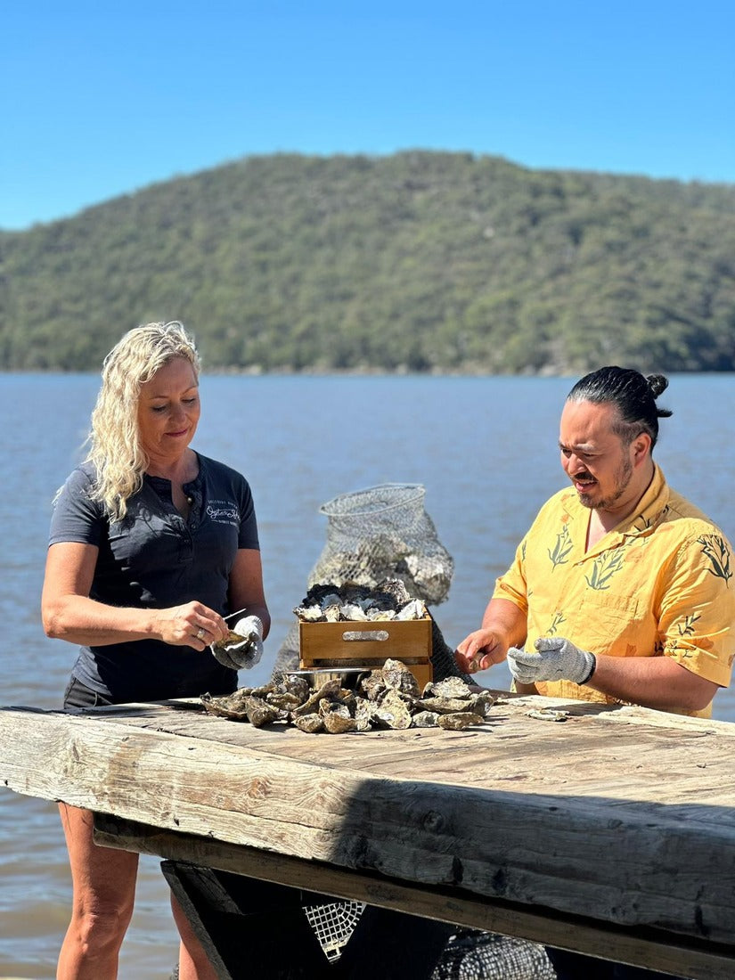 Fresh oysters on the river near Sydney