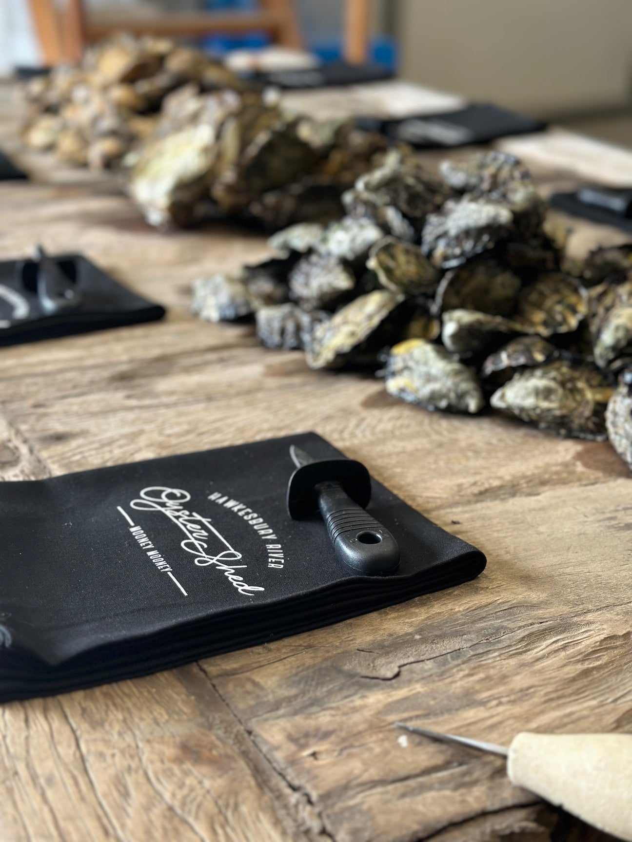 Oyster shucking class near Sydney on the Hawkesbury River